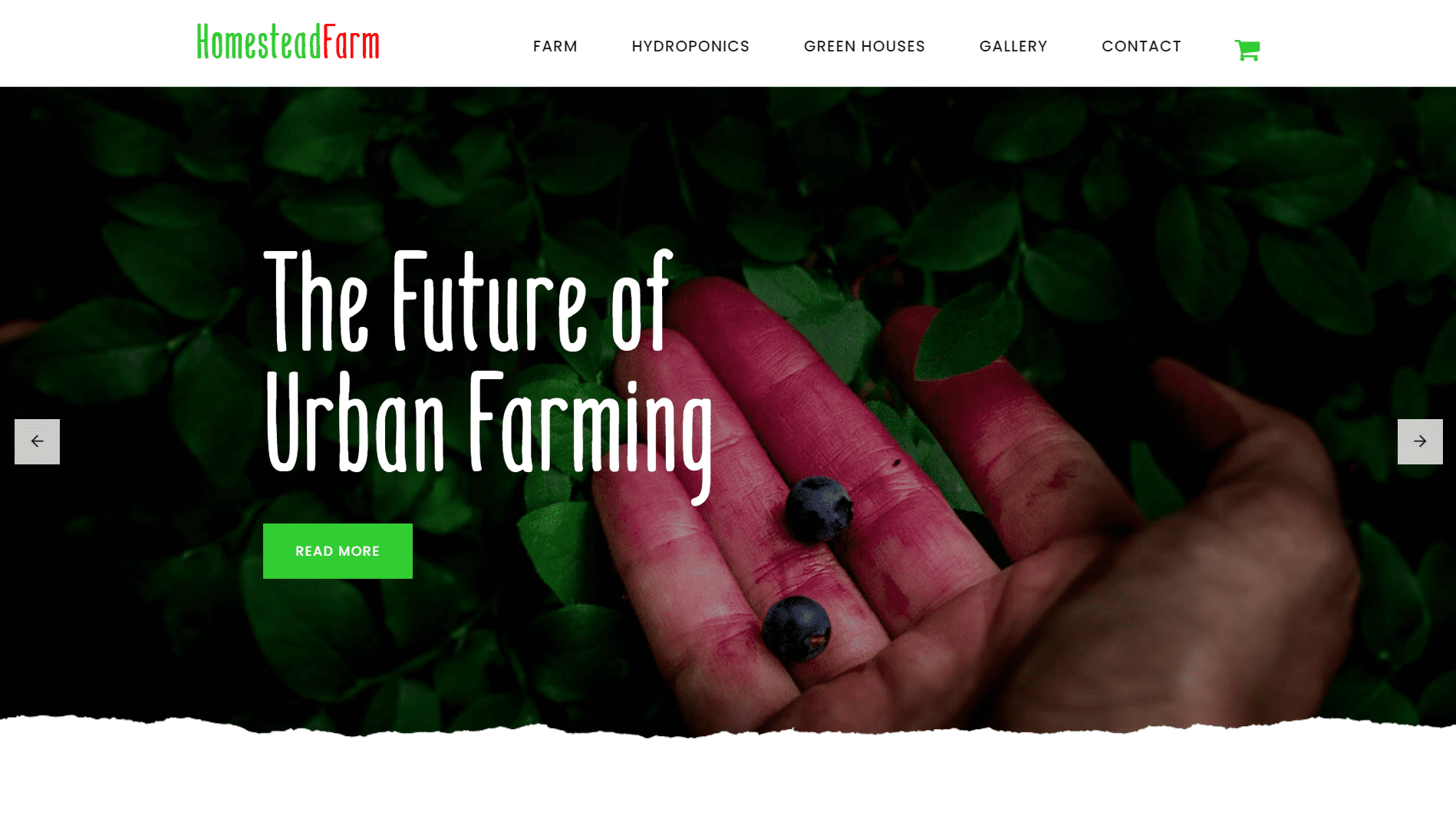 XILEF Portfolio – Homestead Farms (Uganda)